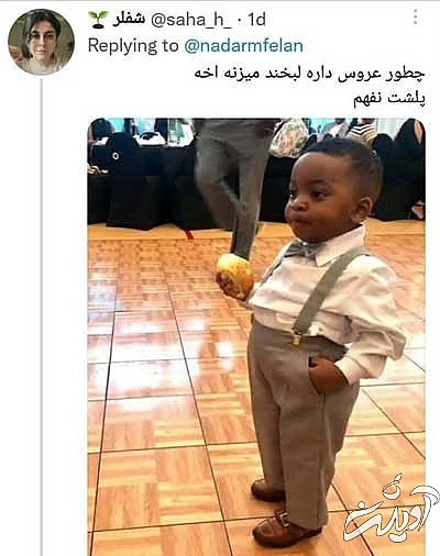 داماد دو عروسه! چه چیزی توییتر را ترکاند؟ داماد دو عروسه! چه چیزی توییتر را ترکاند؟